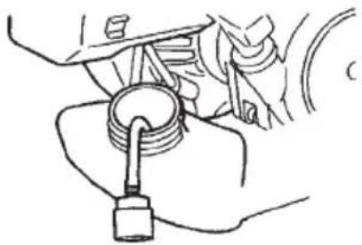 Tanaka TCG 22EAS(SL) - Fuel filter (Fig. 31) - 1