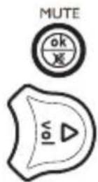 GE 25006 - Enabling the Master Volume Feature - 3
