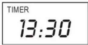 TIMER 13:30