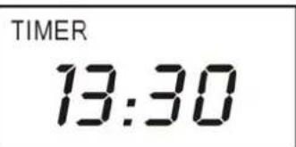 TIMER 13:30