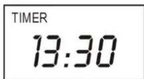 TIMER 13:30