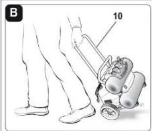 B 10