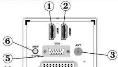 Andersson LED3240FDC PVR - Översikt av anslutningarna på baksidan - 1