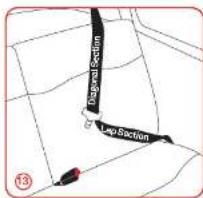 Diagonal Section Lap Section