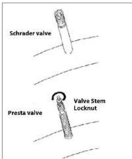 Schrader valve Presta valve Valve Stem Locknut
