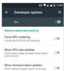 Developer options On Hardware accelerated rendering Force GPU rendering Force use of GPU for 2G drawing Show GPU view updates Flash views made windows when drawn with the GPU Show hardware layers updates Flash hardware layers green when they