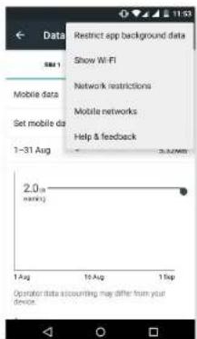 Data SMB 1 Mobile data Set mobile data 1-31 Aug Restrict app background data Show Wi-Fi Network restrictions Mobile networks Help & feedback 2.0 mm marky 1 Aug 10 Aug 1 Sep Operator data accounting may differ from your device.