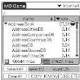 SONY Clié PEG-N760C - Formatting Memory Stick media - 1