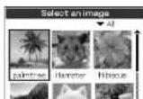 SONY Clié PEG-N760C - Pasting an image to an address entry - 2