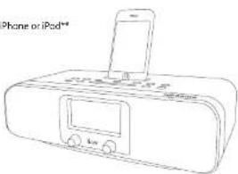 Phone or iPod*