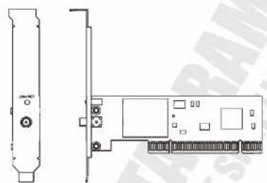Pentagram P 6121-L3 - Device diagram - 1