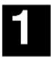 TRENDNET TV-IP200W - ABOUT THIS GUIDE - 1