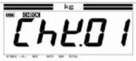 Yamato DP-6700 - Checkweighing Function - 2