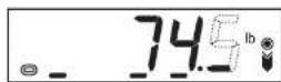 Yamato DP-6200 - Setting the Over/Under Indicator - 11