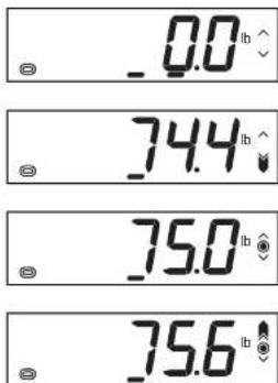 - 0.0 lb - 74.4 lb - 75.0 lb - 75.6 lb