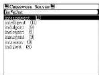 SEIKO ER-9000 - Crossword Solver - 2