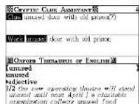 SEIKO ER-9000 - Word Decrypter: - 3