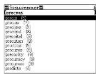 SEIKO ER-9000 - Spellchecker - 2