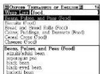 SEIKO ER-9000 - Word List - 3