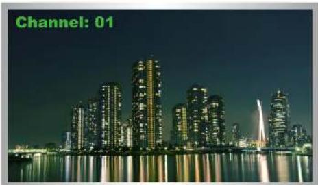 Gefen EXT-DVIKVM-LAN - Displaying the IP Address - 3