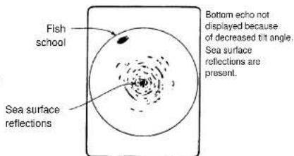 Fish school Sea surface reflections Bottom echo not displayed because of decreased tilt angle. Sea surface reflections are present.