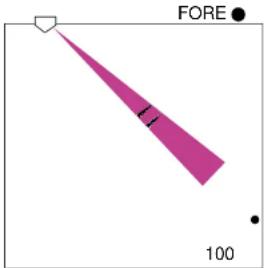 FORE 100