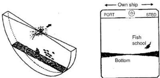 Own ship PORT STBD Fish school Bottom