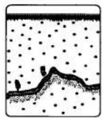 FURUNO 1762 - Reducing Interference - 1