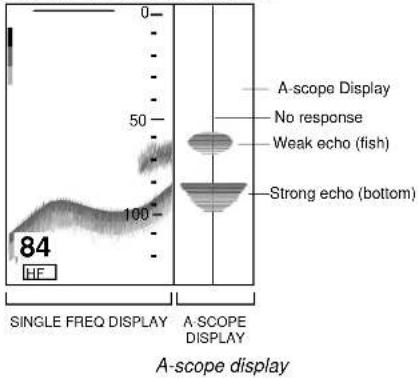 0 50 100 84 HF A-scope Display No response Weak echo (fish) Strong echo (bottom) SINGLE FREQ DISPLAY A-SCOPE DISPLAY A-scope display