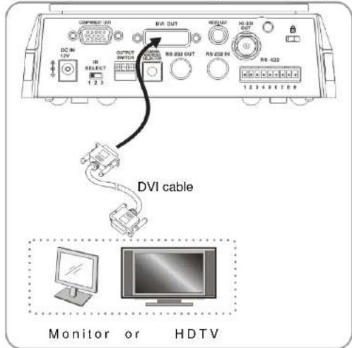 DVI cable Monitor or HDTV