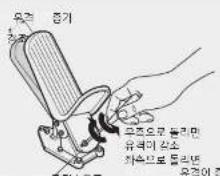 유치 중기 중기 유치으로 둘리만 유력이 감소 하속으로 둘리만 유치이 중