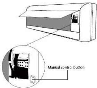 Manual control button