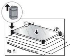 L R Fig. 5