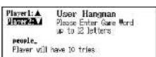 SEIKO ER8000 - User Hangman - 3