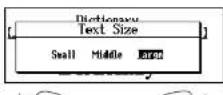 SEIKO ER8000 - Setting the Text Size - 2