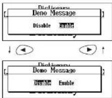SEIKO ER8000 - Setting the Text Size - 1