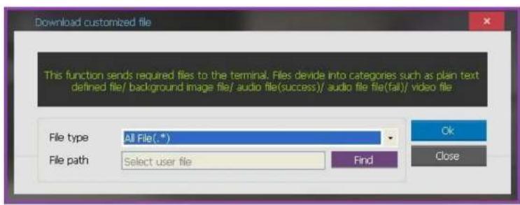 Download customized file This function sends required files to the terminal. Files devide into categories such as plain text defined file/ background image file/ audio file(success)// audio file file(fail)/ video file File type All File(.*) File path Select user file Find Ok Close