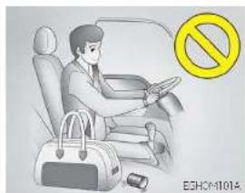 EZHOM101A