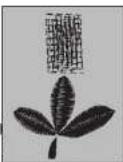 NECCHI Type A 420 - FREE-HAND EMBROIDERY - 2