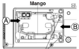 Mango A B