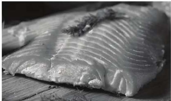 Char-Broil 14202004 - Fish Recipes - 1