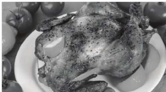Char-Broil 14202004 - Directions for chicken: - 2