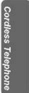 PANASONIC KX-TCD510BXM - ◆◆ Muting Your Conversation - 1