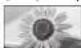 PANASONIC Viera TX-PR42C3 - Арақатынас - 7
