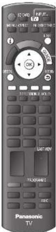 R2 100V OK LIFT VIEW PANSONIC TV
