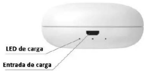 LED de carga Entrada de carga