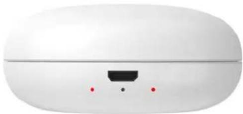 BRIGMTON BML-17-B - BATTERY CHARGE - 5