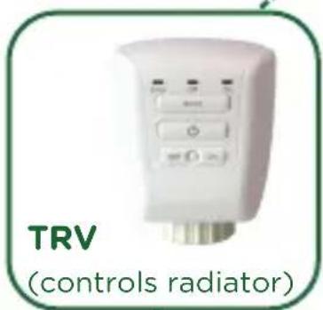 TRV (controls radiator)