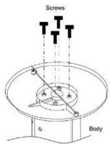 Screws Body