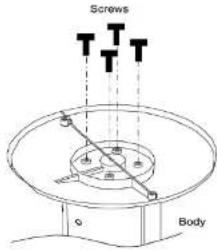 Screws Body